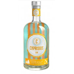 Gin Citrus 70 cl - Caprisius