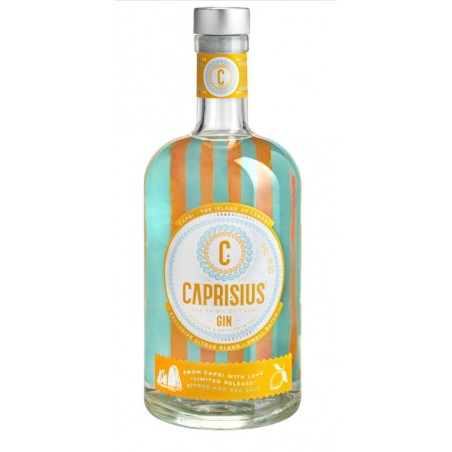 Gin Citrus 70 cl - Caprisius