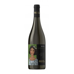 Cataratto Terre di Sicilia i.g.p. "Dida" 75 cl - Diar